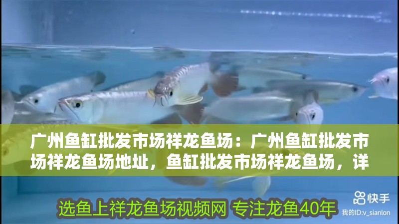 廣州魚缸批發市場祥龍魚場：廣州魚缸批發市場祥龍魚場地址，魚缸批發市場祥龍魚場，詳述其地址與市場特色