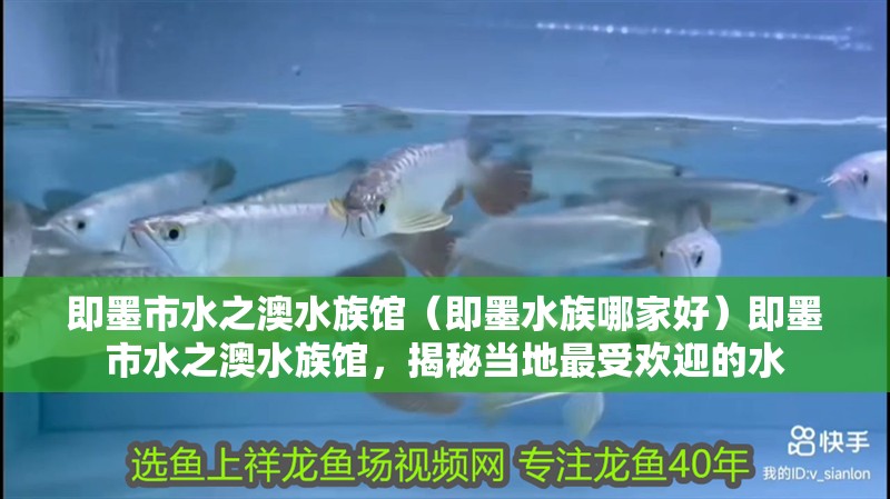 即墨市水之澳水族館（即墨水族哪家好）即墨市水之澳水族館，揭秘當(dāng)?shù)刈钍軞g迎的水