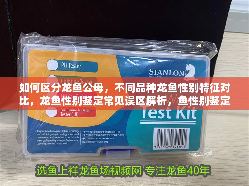 如何區分龍魚公母，不同品種龍魚性別特征對比，龍魚性別鑒定常見誤區解析，魚性別鑒定指南，區分公母與品種特征對比及常見