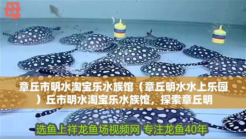 章丘市明水淘寶樂水族館(章丘明水水上樂園)丘市明水淘寶樂水族館,探索章丘明 全國水族館企業名錄 第2張 章丘市明水淘寶樂水族館(章丘明水水上樂園)丘市明水淘寶樂水族館,探索章丘明 章丘市明水淘寶樂水族館(章丘明水水上樂園)丘市明水淘寶樂水族館,探索章丘明 全國水族館企業名錄 第2張