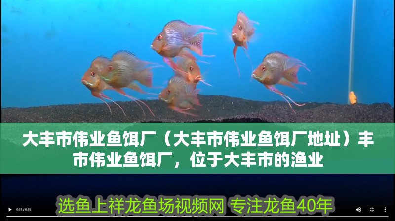 大豐市偉業魚餌廠（大豐市偉業魚餌廠地址）豐市偉業魚餌廠，位于大豐市的漁業