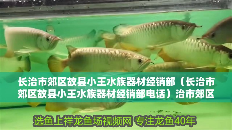 長治市郊區故縣小王水族器材經銷部（長治市郊區故縣小王水族器材經銷部電話）治市郊區故縣小王水族器材經銷部聯系方式及