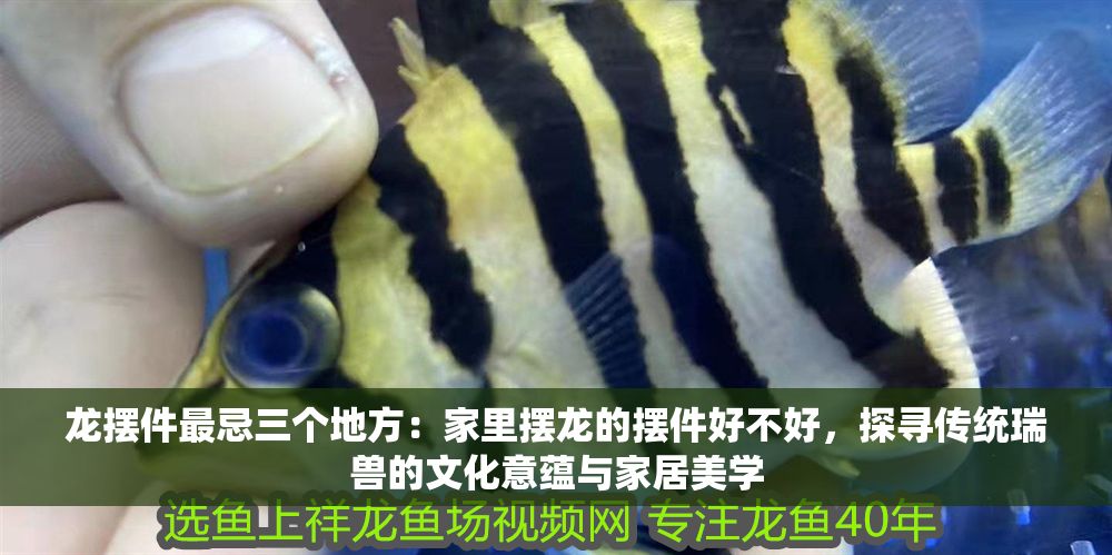 龍擺件最忌三個(gè)地方：家里擺龍的擺件好不好，探尋傳統(tǒng)瑞獸的文化意蘊(yùn)與家居美學(xué)