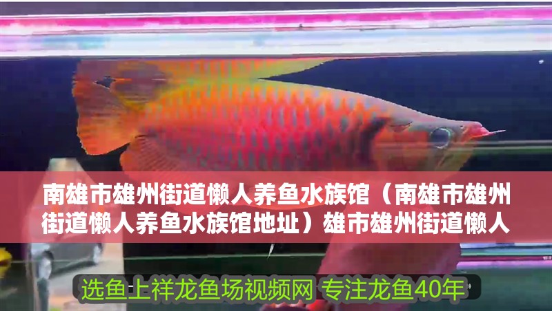 南雄市雄州街道懶人養(yǎng)魚水族館（南雄市雄州街道懶人養(yǎng)魚水族館地址）雄市雄州街道懶人養(yǎng)魚水族館，探索自然之美的休閑勝地