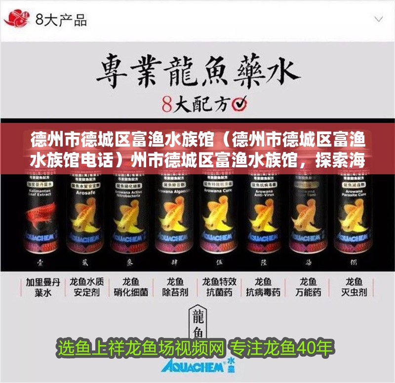 德州市德城區(qū)富漁水族館（德州市德城區(qū)富漁水族館電話）州市德城區(qū)富漁水族館，探索海洋生物的奇妙