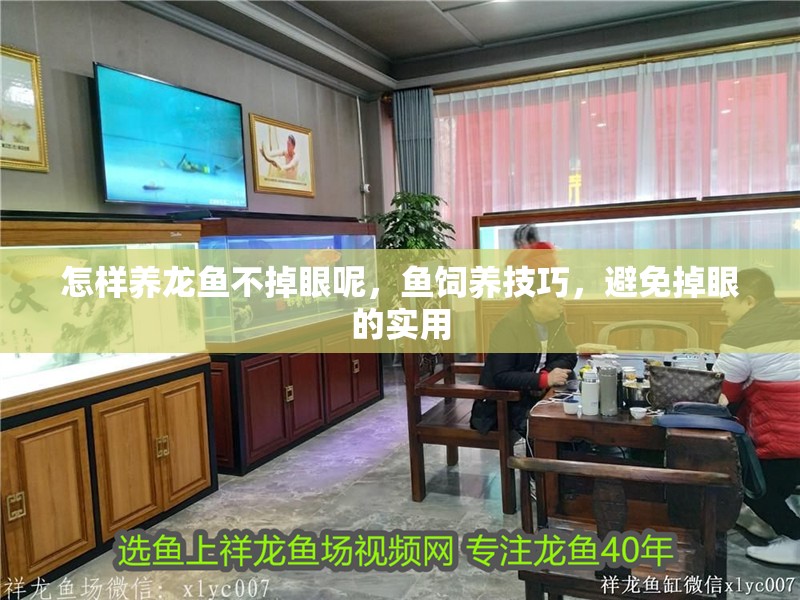 怎樣養龍魚不掉眼呢，魚飼養技巧，避免掉眼的實用