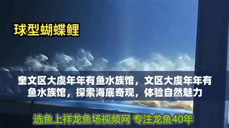 奎文區(qū)大虞年年有魚水族館，文區(qū)大虞年年有魚水族館，探索海底奇觀，體驗自然魅力