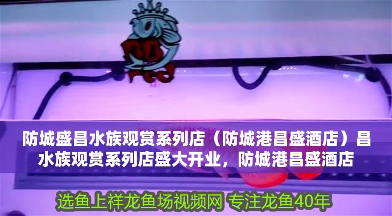 防城盛昌水族觀賞系列店（防城港昌盛酒店）昌水族觀賞系列店盛大開業，防城港昌盛酒店 防城盛昌水族觀賞系列店（防城港昌盛酒店）昌水族觀賞系列店盛大開業，防城港昌盛酒店 全國水族館企業名錄 第2張