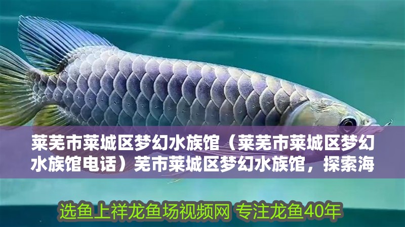 萊蕪市萊城區夢幻水族館(萊蕪市萊城區夢幻水族館電話)蕪市萊城區夢幻水族館,探索海洋奧秘,體驗 全國水族館企業名錄 第2張 萊蕪市萊城區夢幻水族館(萊蕪市萊城區夢幻水族館電話)蕪市萊城區夢幻水族館,探索海洋奧秘,體驗 萊蕪市萊城區夢幻水族館(萊蕪市萊城區夢幻水族館電話)蕪市萊城區夢幻水族館,探索海洋奧秘,體驗 全國水族館企業名錄 第2張