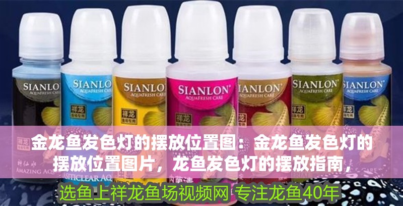 金龍魚發色燈的擺放位置圖：金龍魚發色燈的擺放位置圖片，龍魚發色燈的擺放指南， 金龍魚發色燈的擺放位置圖：金龍魚發色燈的擺放位置圖片，龍魚發色燈的擺放指南， 水族問答