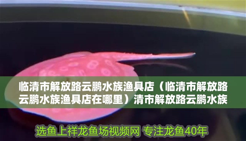 臨清市解放路云鵬水族漁具店（臨清市解放路云鵬水族漁具店在哪里）清市解放路云鵬水族漁
