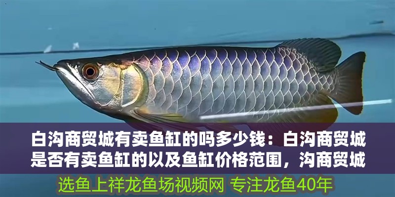 白溝商貿城有賣魚缸的嗎多少錢：白溝商貿城是否有賣魚缸的以及魚缸價格范圍，溝商貿城魚缸銷售指南，價格范圍