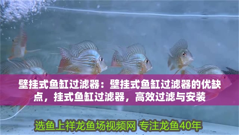 壁掛式魚缸過濾器：壁掛式魚缸過濾器的優缺點，掛式魚缸過濾器，高效過濾與安裝