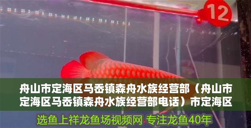 舟山市定海區馬岙鎮森舟水族經營部（舟山市定海區馬岙鎮森舟水族經營部電話）市定海區馬岙鎮森舟水族經營部聯系方式