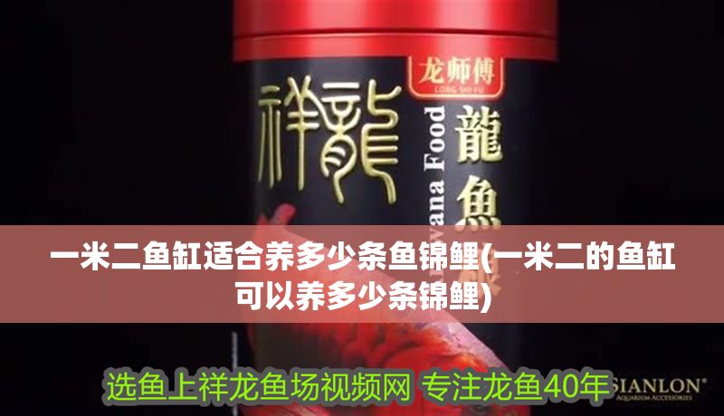 一米二魚缸適合養多少條魚錦鯉(一米二的魚缸可以養多少條錦鯉)
