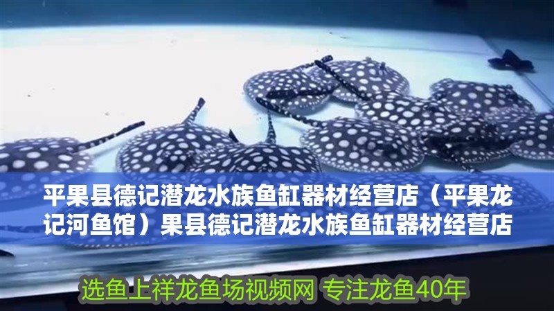 平果縣德記潛龍水族魚缸器材經營店（平果龍記河魚館）果縣德記潛龍水族魚缸器材經營店盛大開業，引領河魚館新