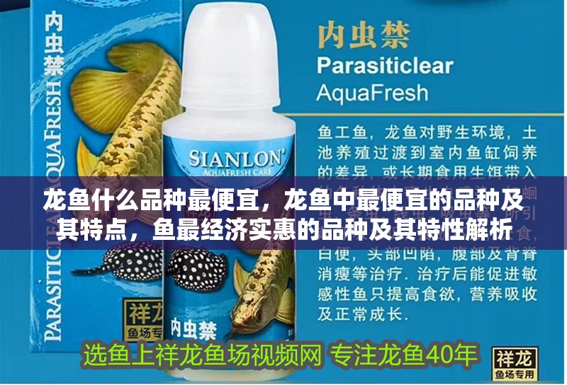 龍魚什么品種最便宜，龍魚中最便宜的品種及其特點，魚最經濟實惠的品種及其特性解析
