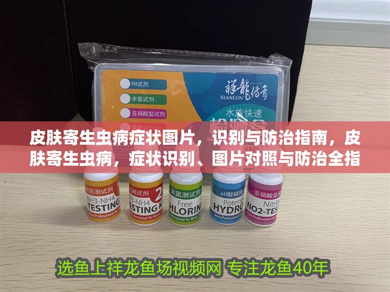 皮膚寄生蟲病癥狀圖片，識別與防治指南，皮膚寄生蟲病，癥狀識別、圖片對照與防治全指南 皮膚寄生蟲病癥狀圖片，識別與防治指南，皮膚寄生蟲病，癥狀識別、圖片對照與防治全指南 龍魚常見疾病 第1張