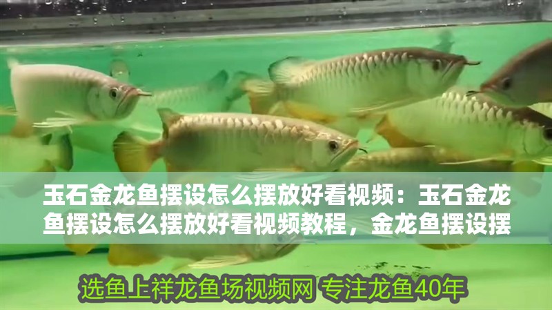 玉石金龍魚擺設怎么擺放好看視頻：玉石金龍魚擺設怎么擺放好看視頻教程，金龍魚擺設擺放技巧與視頻教程 玉石金龍魚擺設怎么擺放好看視頻：玉石金龍魚擺設怎么擺放好看視頻教程，金龍魚擺設擺放技巧與視頻教程 水族問答
