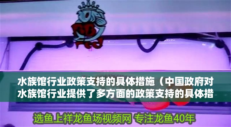 水族館行業政策支持的具體措施（中國政府對水族館行業提供了多方面的政策支持的具體措施）