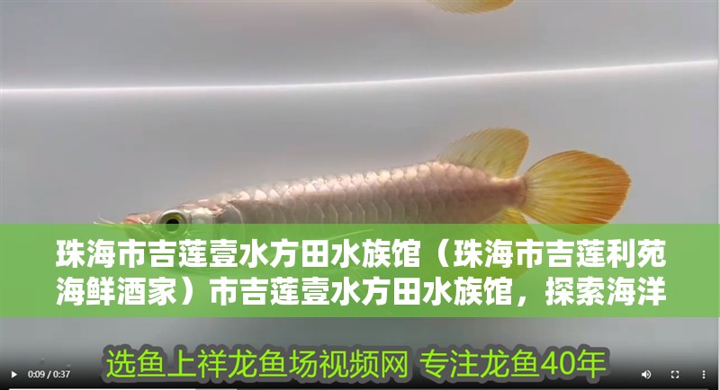 珠海市吉蓮壹水方田水族館（珠海市吉蓮利苑海鮮酒家）市吉蓮壹水方田水族館，探索海洋奧秘 珠海市吉蓮壹水方田水族館（珠海市吉蓮利苑海鮮酒家）市吉蓮壹水方田水族館，探索海洋奧秘 全國水族館企業名錄 第2張