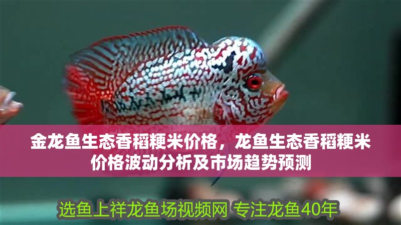 金龍魚生態(tài)香稻粳米價格，龍魚生態(tài)香稻粳米價格波動分析及市場趨勢預(yù)測