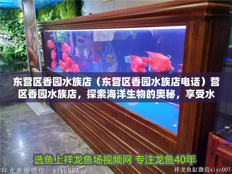東營區香園水族店（東營區香園水族店電話）營區香園水族店，探索海洋生物的奧秘，享受水