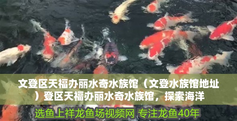 文登區天福辦麗水奇水族館（文登水族館地址）登區天福辦麗水奇水族館，探索海洋