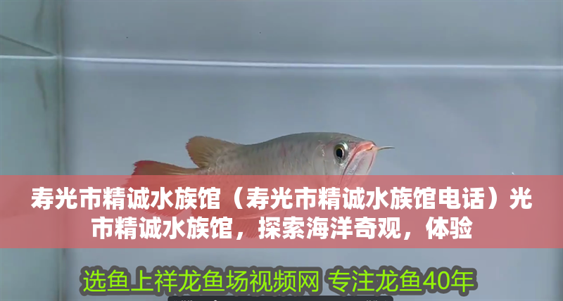 壽光市精誠水族館（壽光市精誠水族館電話）光市精誠水族館，探索海洋奇觀，體驗 壽光市精誠水族館（壽光市精誠水族館電話）光市精誠水族館，探索海洋奇觀，體驗 全國水族館企業名錄 第2張