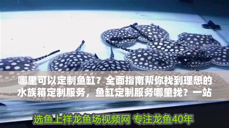哪里可以定制魚缸？全面指南幫你找到理想的水族箱定制服務，魚缸定制服務哪里找？一站式指南助你打造完美水族箱
