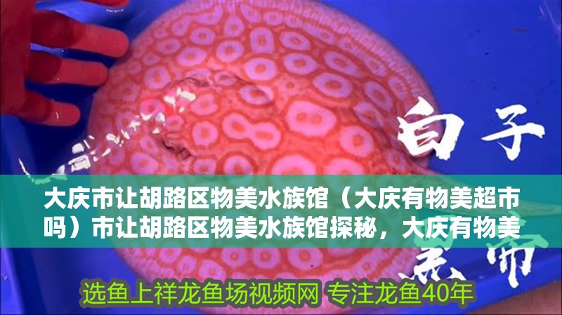 大慶市讓胡路區物美水族館（大慶有物美超市嗎）市讓胡路區物美水族館探秘，大慶有物美超市嗎？