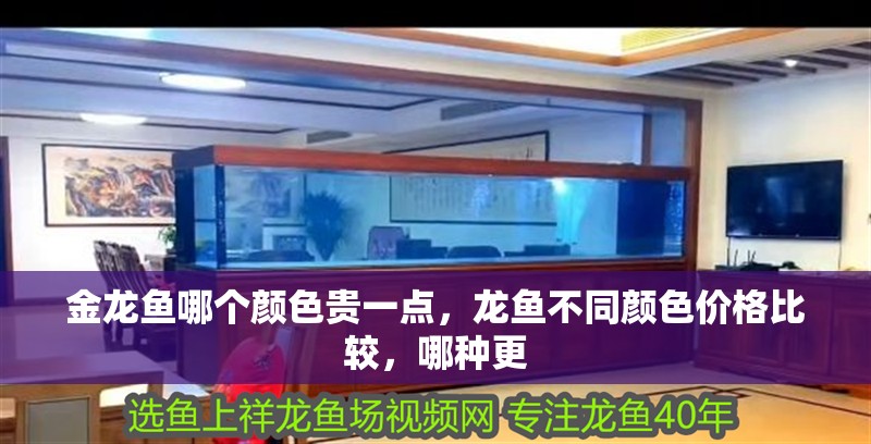 金龍魚哪個顏色貴一點，龍魚不同顏色價格比較，哪種更