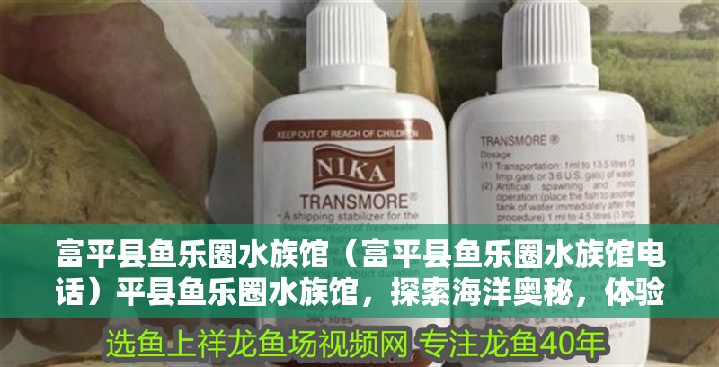 富平縣魚樂圈水族館（富平縣魚樂圈水族館電話）平縣魚樂圈水族館，探索海洋奧秘，體驗