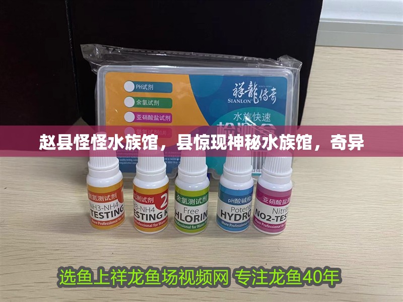 趙縣怪怪水族館,縣驚現神秘水族館,奇異 全國水族館企業名錄 第2張 趙縣怪怪水族館,縣驚現神秘水族館,奇異 趙縣怪怪水族館,縣驚現神秘水族館,奇異 全國水族館企業名錄 第2張