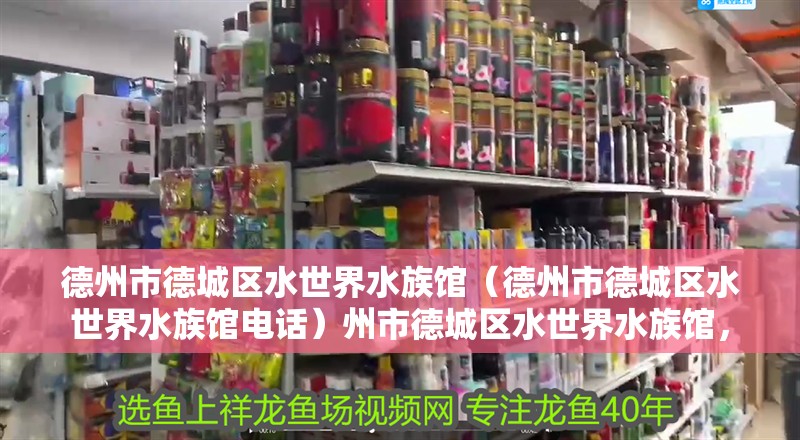 德州市德城區(qū)水世界水族館（德州市德城區(qū)水世界水族館電話）州市德城區(qū)水世界水族館， 德州市德城區(qū)水世界水族館（德州市德城區(qū)水世界水族館電話）州市德城區(qū)水世界水族館， 全國水族館企業(yè)名錄 第2張