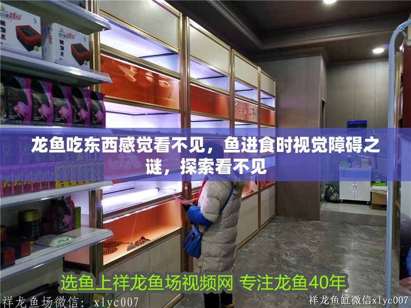 龍魚吃東西感覺看不見，魚進食時視覺障礙之謎，探索看不見