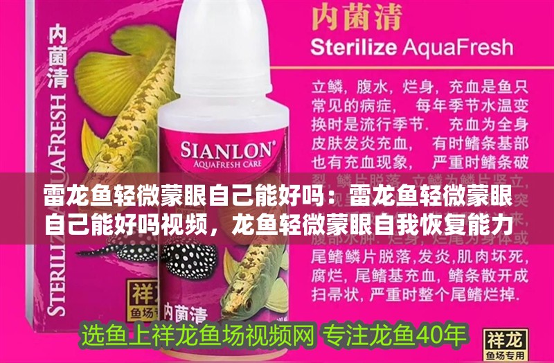 雷龍魚輕微蒙眼自己能好嗎：雷龍魚輕微蒙眼自己能好嗎視頻，龍魚輕微蒙眼自我恢復能力分析