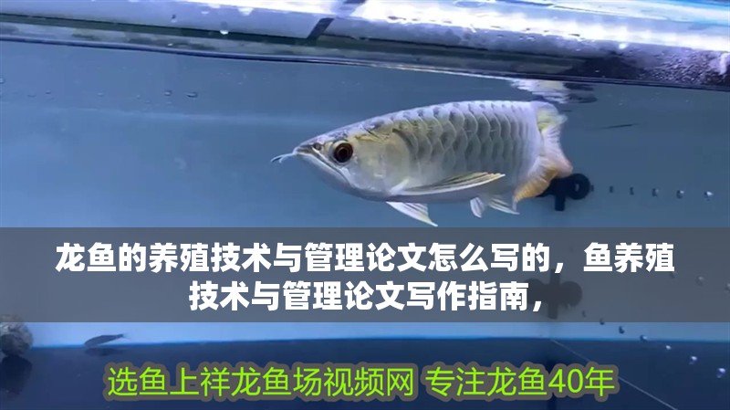 龍魚的養殖技術與管理論文怎么寫的，魚養殖技術與管理論文寫作指南，