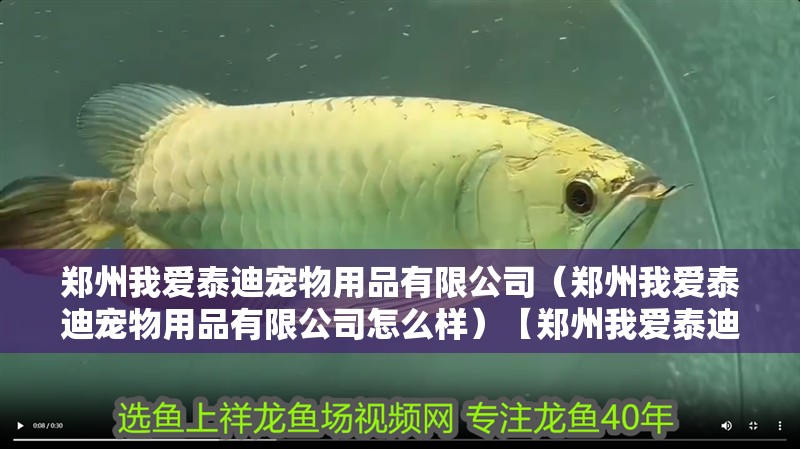鄭州我愛泰迪寵物用品有限公司（鄭州我愛泰迪寵物用品有限公司怎么樣）【鄭州我愛泰迪寵物用品】