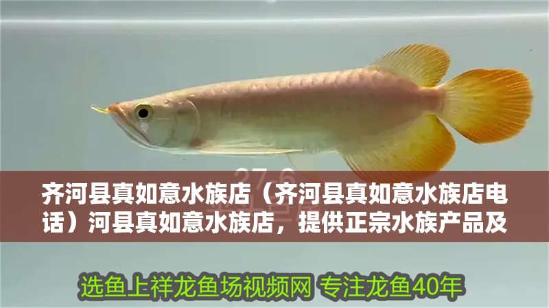 齊河縣真如意水族店（齊河縣真如意水族店電話）河縣真如意水族店，提供正宗水族產品及