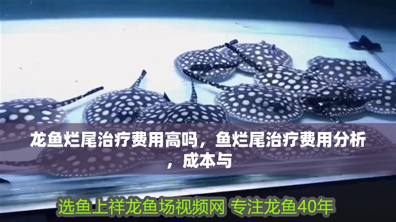 龍魚爛尾治療費用高嗎，魚爛尾治療費用分析，成本與