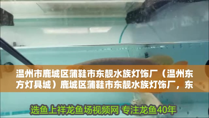 溫州市鹿城區蒲鞋市東靚水族燈飾廠（溫州東方燈具城）鹿城區蒲鞋市東靚水族燈飾廠，東方燈具城引領照明新潮流 溫州市鹿城區蒲鞋市東靚水族燈飾廠（溫州東方燈具城）鹿城區蒲鞋市東靚水族燈飾廠，東方燈具城引領照明新潮流 全國水族館企業名錄 第2張