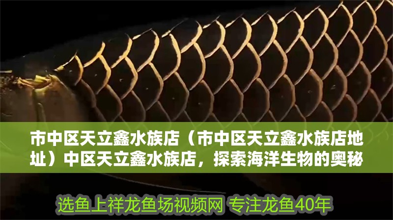 市中區天立鑫水族店（市中區天立鑫水族店地址）中區天立鑫水族店，探索海洋生物的奧秘，享受水族館的樂趣 市中區天立鑫水族店（市中區天立鑫水族店地址）中區天立鑫水族店，探索海洋生物的奧秘，享受水族館的樂趣 全國水族館企業名錄 第2張
