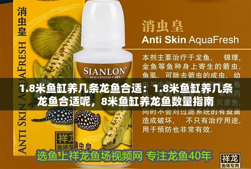 1.8米魚缸養(yǎng)幾條龍魚合適：1.8米魚缸養(yǎng)幾條龍魚合適呢，8米魚缸養(yǎng)龍魚數(shù)量指南