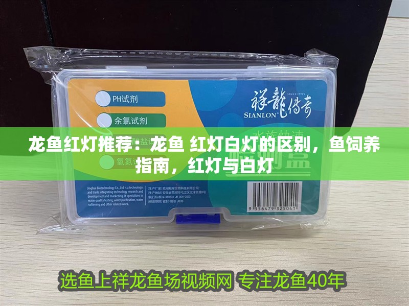 龍魚紅燈推薦：龍魚 紅燈白燈的區別，魚飼養指南，紅燈與白燈