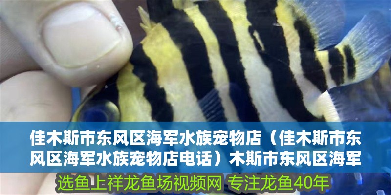 佳木斯市東風區海軍水族寵物店（佳木斯市東風區海軍水族寵物店電話）木斯市東風區海軍水族寵物店，專業水族寵物服務，電話咨詢直達