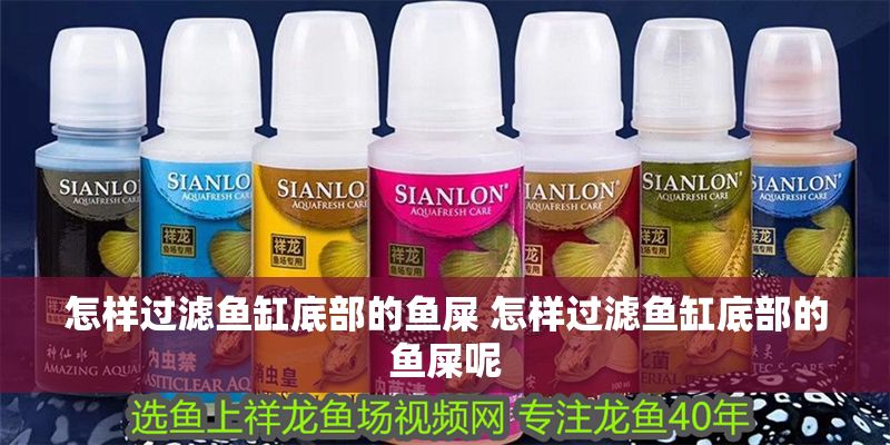 怎樣過濾魚缸底部的魚屎 怎樣過濾魚缸底部的魚屎呢