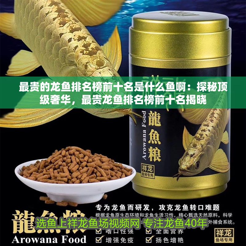 最貴的龍魚排名榜前十名是什么魚啊：探秘頂級奢華，最貴龍魚排名榜前十名揭曉