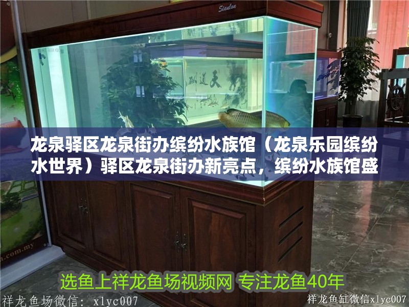 龍泉驛區龍泉街辦繽紛水族館（龍泉樂園繽紛水世界）驛區龍泉街辦新亮點，繽紛水族館盛大開幕，邀您共赴水 龍泉驛區龍泉街辦繽紛水族館（龍泉樂園繽紛水世界）驛區龍泉街辦新亮點，繽紛水族館盛大開幕，邀您共赴水 全國水族館企業名錄 第2張