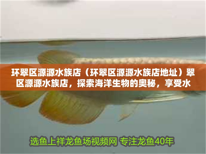 環翠區源源水族店（環翠區源源水族店地址）翠區源源水族店，探索海洋生物的奧秘，享受水